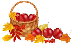 image-755632-fall.jpeg